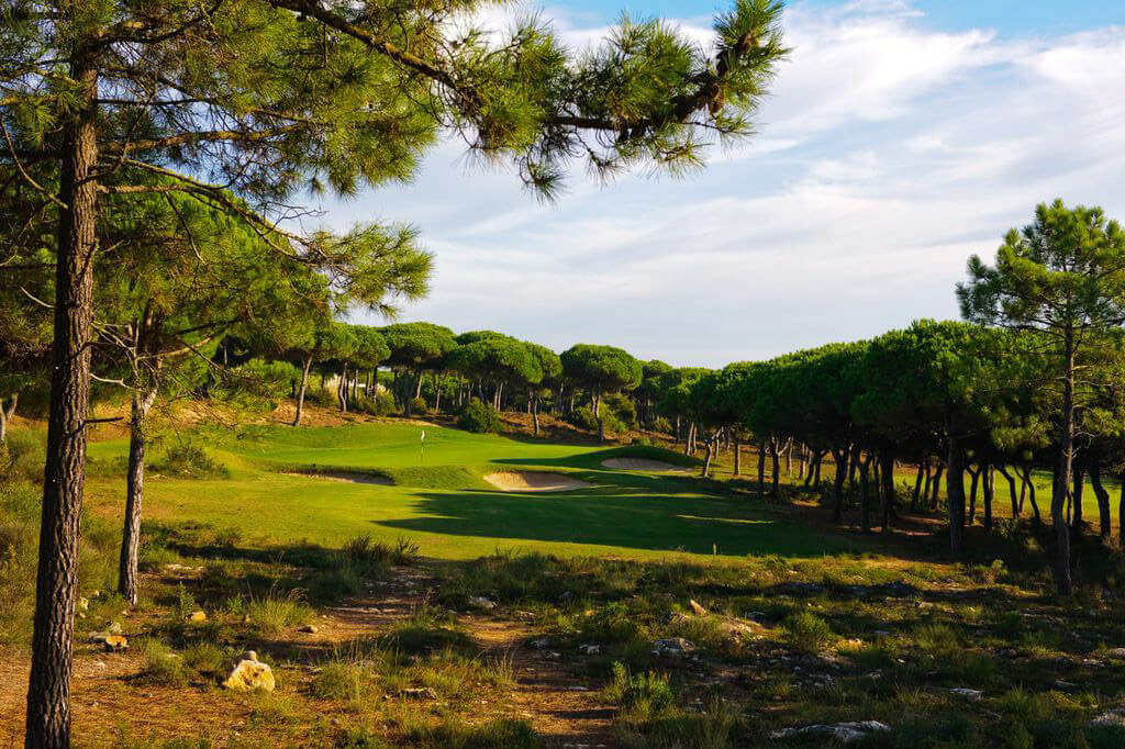 trees, holiday, trip, vacation, view, The Oitavos, portugal, about time, trip, hotels, hotel, luxury, 5*, amazing, fantastic, high-end, oitavos beats, fish, fruit, healthy, summer, summer holiday