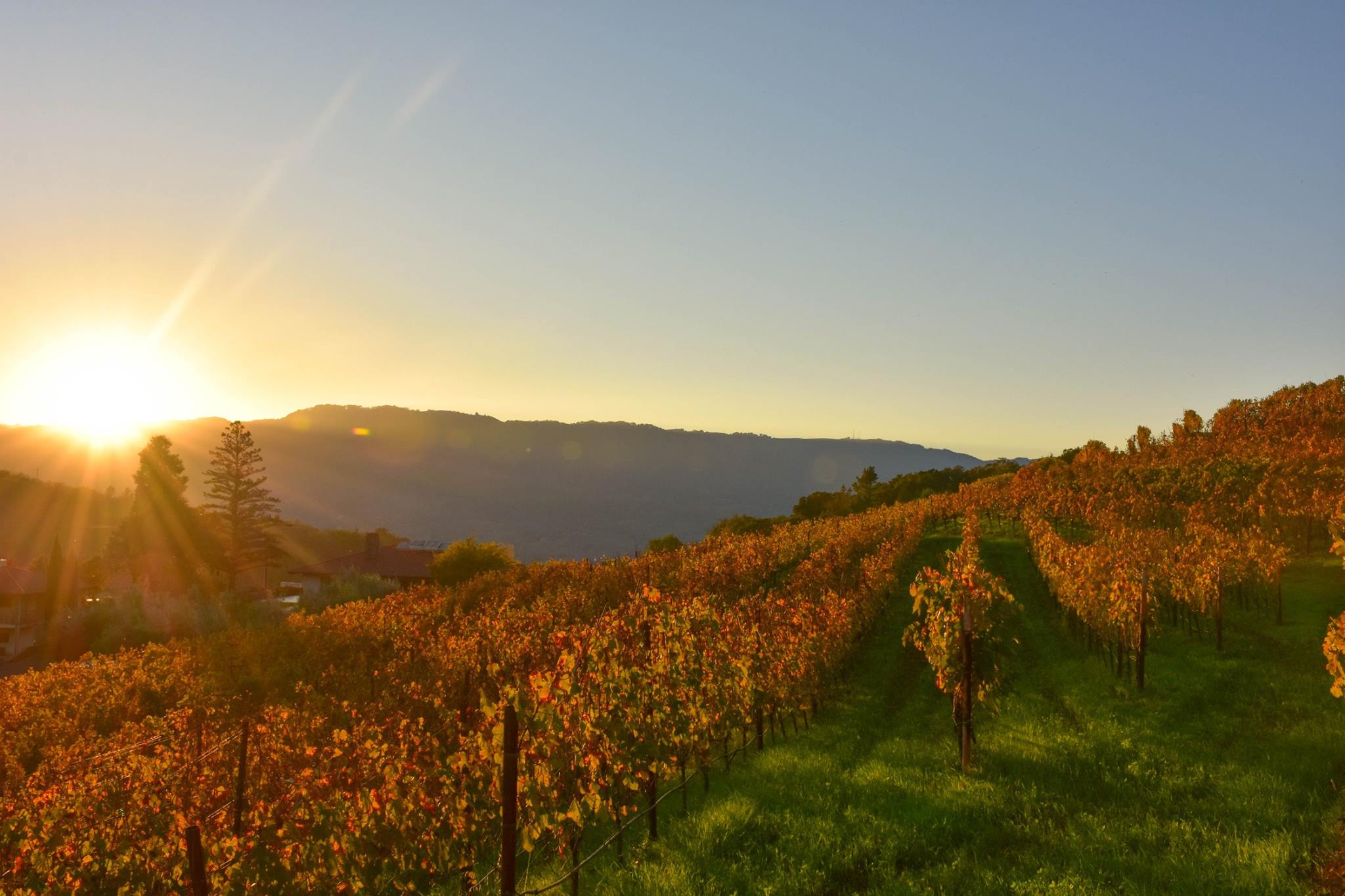 48-Hours in Sonoma, what to do in sonoma, where to stay in sonoma, where to eat in sonoma, sonoma travel guide