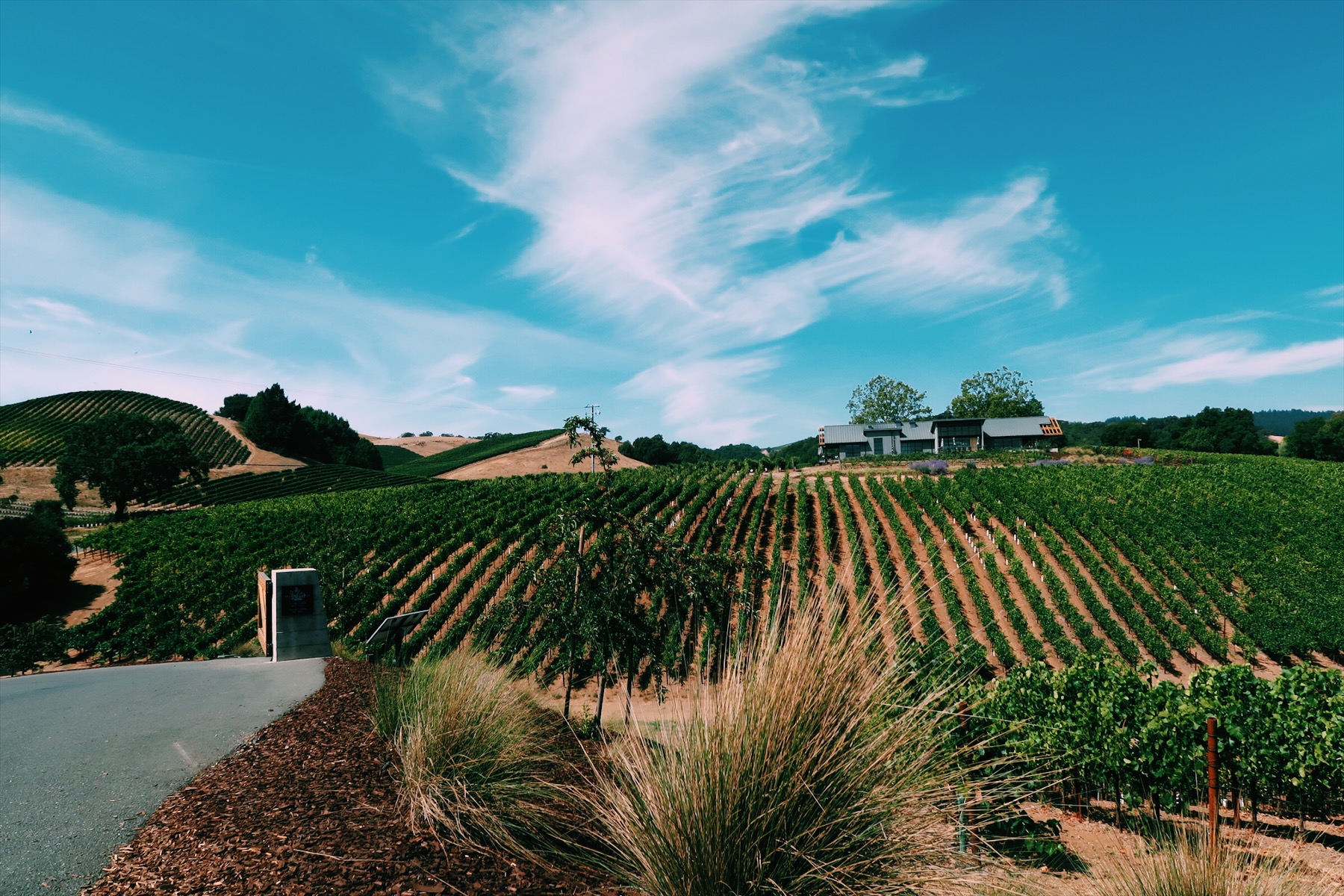 48-Hours in Sonoma, what to do in sonoma, where to stay in sonoma, where to eat in sonoma, sonoma travel guide